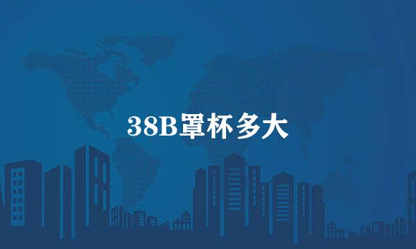 38B罩杯多大