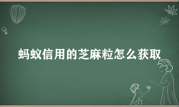 蚂蚁信用的芝麻粒怎么获取