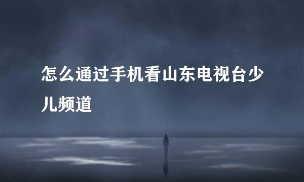 怎么通过手机看山东电视台少儿频道