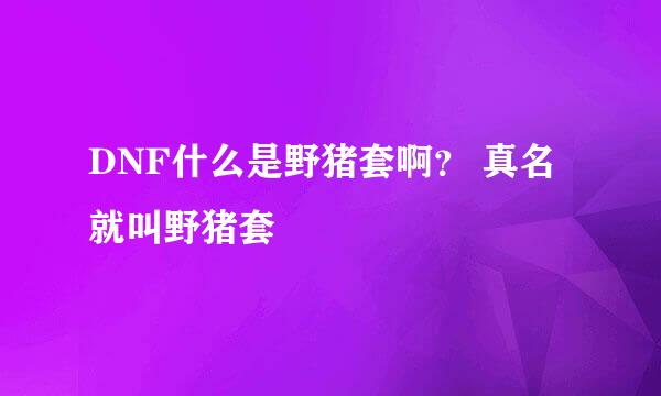 DNF什么是野猪套啊？ 真名就叫野猪套