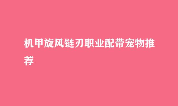 机甲旋风链刃职业配带宠物推荐